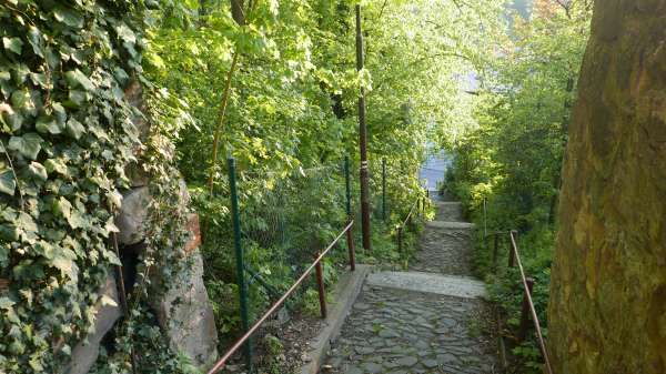 Sulla strada per i ristoranti