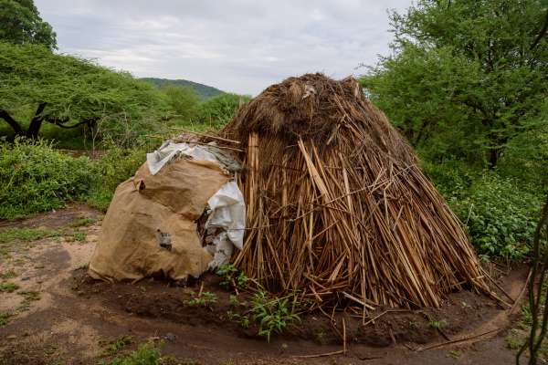 Vivienda