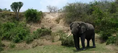 The most beautiful trips to the southwest of Uganda