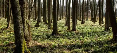 Réserve Naturelle de Jechovec