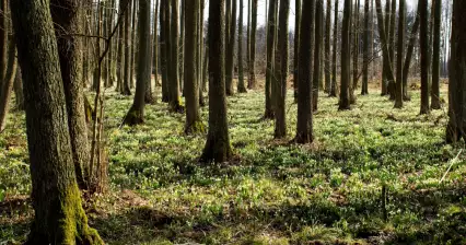 Réserve Naturelle de Jechovec