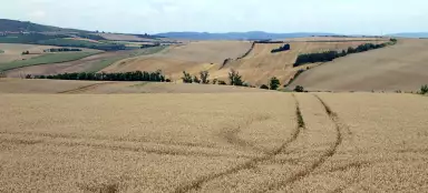 Moravian Tuscany - what, when and where to take pictures