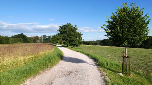 The road to the top of Hůra