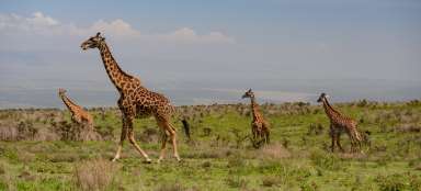 Ausflug nach Ngorongoro