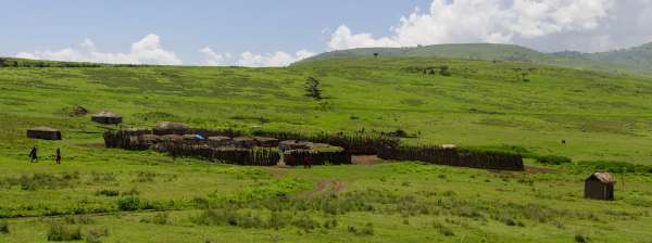 Masajów