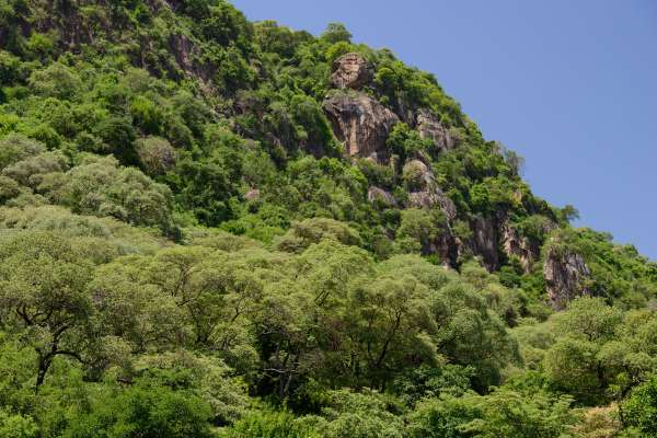 Felsen