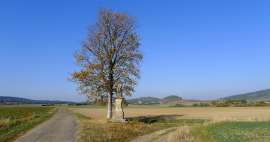 Les plus belles balades à vélo autour de Jičín