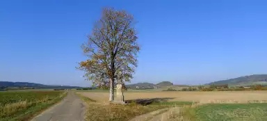 Jičín 주변에서 가장 아름다운 자전거 여행