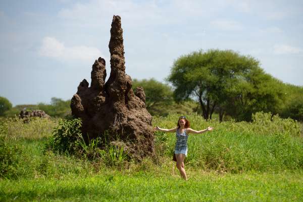 Gigantische termietenheuvel