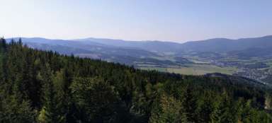 Zlatohorské vrchovina