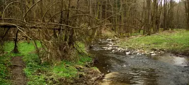 Valle del fiume Nedveka