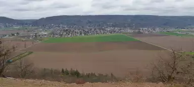 보노클라스 산책