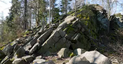 Čtyři palice