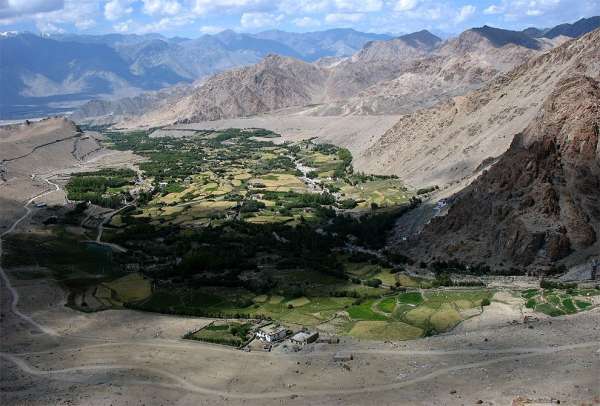 Oasis in the north of Leh