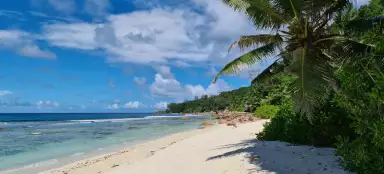 Anse Fourmis