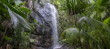 Wodospad w Parku Narodowym Praslin