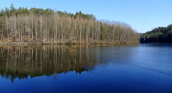 Lago Vidlák