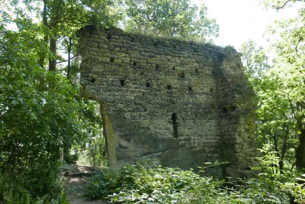 De ruïnes van het kasteel van Milčany