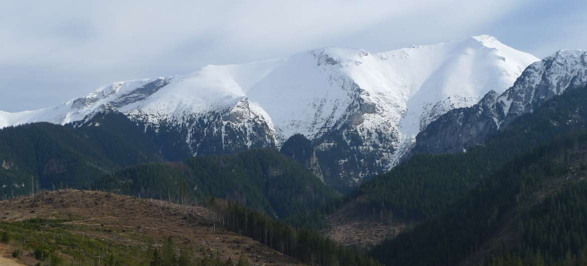 Lidwoord Belianske Tatra