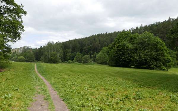 Der Weg zu Rodrigos Felsen