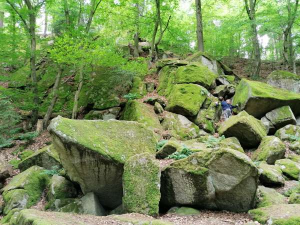 Roca de Rodrig