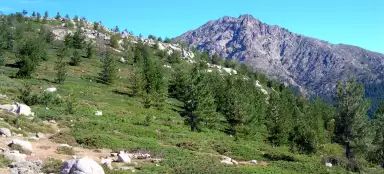 Drive from Porto to Corte