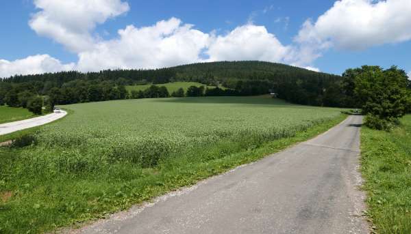 Mots croisés à la croisée des chemins