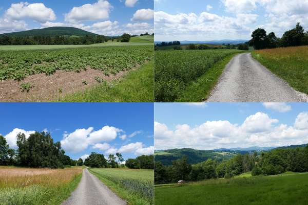 Picturesque road