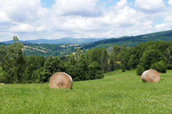 Blick auf den Kessel