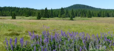 Die schönsten Ausflüge von Boží Dar