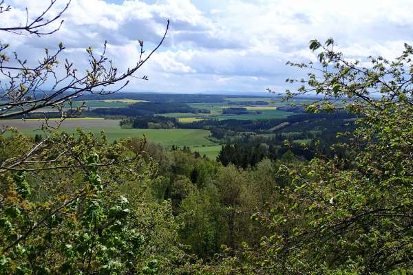 Views of the surroundings