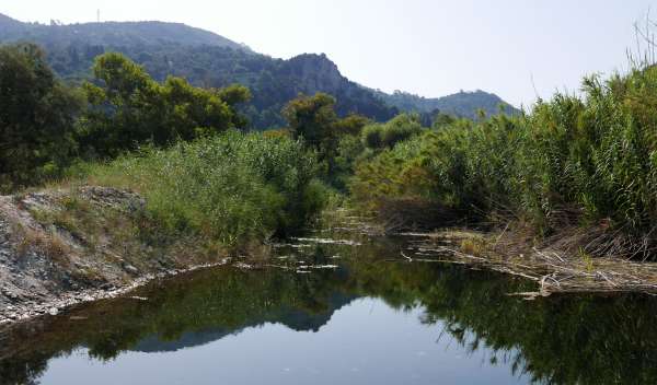 La desembocadura del arroyo