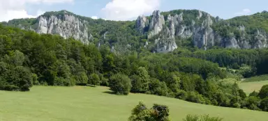 수에프스카 코틀리나