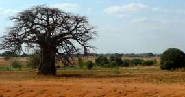 탄자니아에서 가장 아름다운 국립 공원