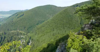 Wandeling naar de rotsen boven Rájecké Teplice