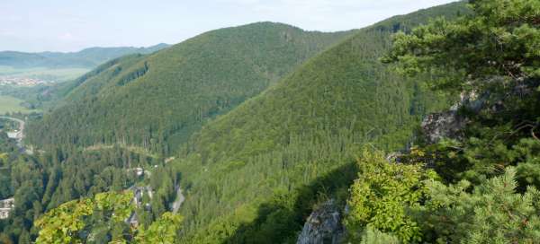 Wanderung zu den Felsen oberhalb von Rájecké Teplice