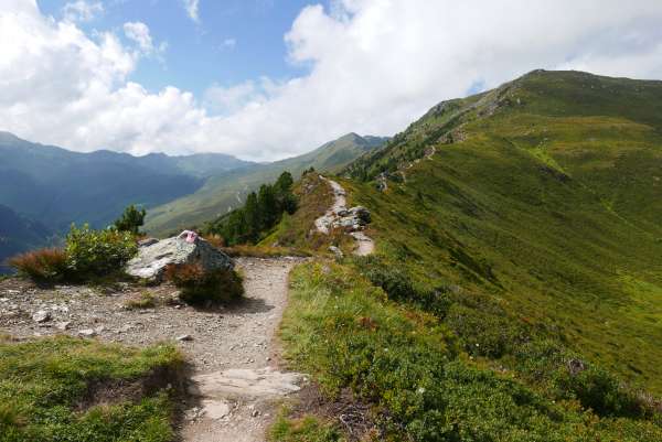 Arbiskopf (2133 m boven zeeniveau)