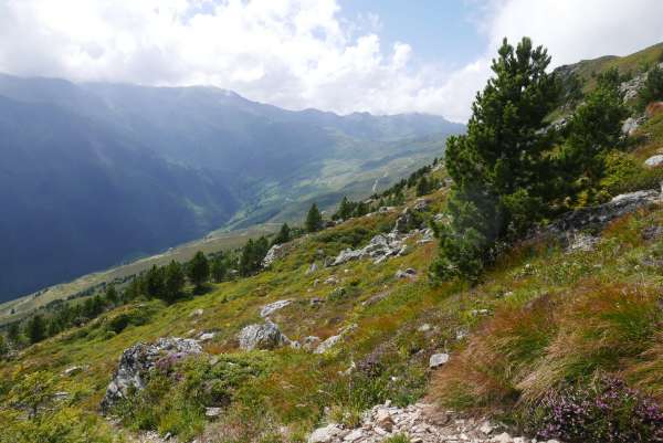 Vista fino alla fine della valle di Sidanbach