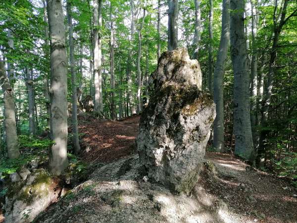 Op weg naar de bergkam