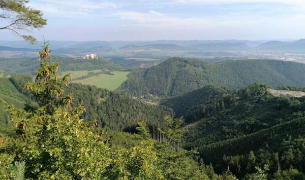 Weißer Felsen