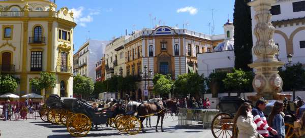 Tour of Seville: Accommodations