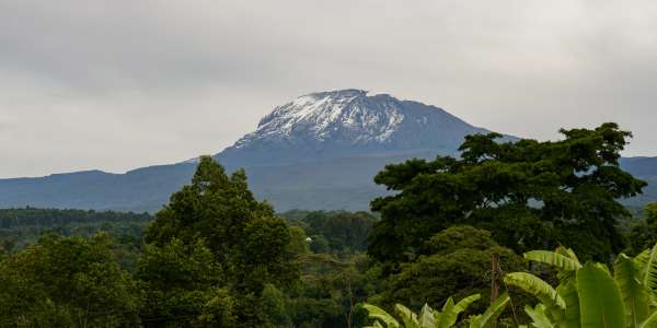 Vista do Kilimanjaro