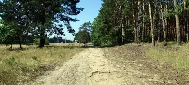 波状の砂