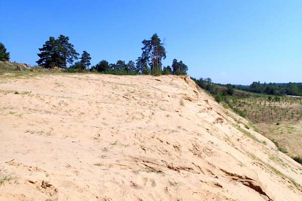 Rare sand dunes