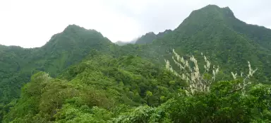 Les plus beaux voyages à Rarotonza