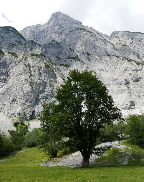 Abaixo de Sonjochem (2.458m)