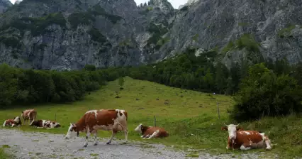 Cammina da Gramaialm alla cascata