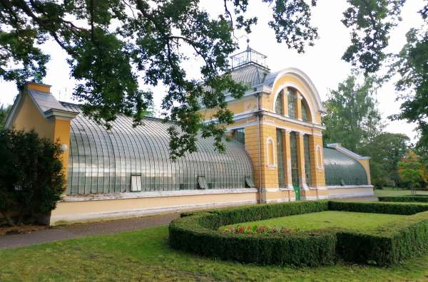 Palm greenhouse in Kopidlna