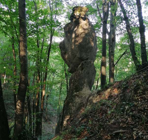 Formacje skalne w lesie
