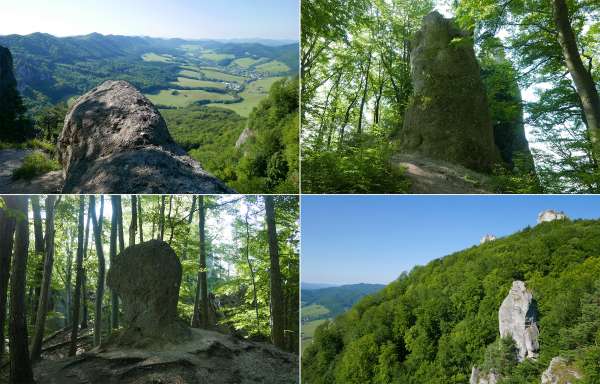 Vue de dessous Brady